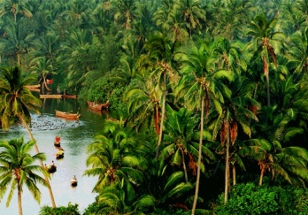 椰子岛图片