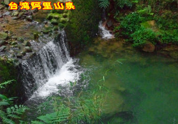 台湾阿里山图片