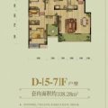 同景国际城馥山D-5-7-F户型两室两厅两卫 两居  户型图