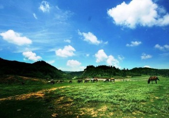 仙女山国家森林公园图片