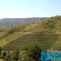 西班牙葡萄酒庄 景观园林 QQ截图20140502145148