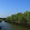 上海湾 景观园林 pt2景观河道