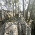 贵州青龙山水天然度假区 景观园林 石林公园