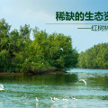 惠州碧桂园天樾湾 景观园林 
