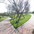 涿州亲和城 景观园林 