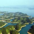 杭州千岛湖•日月天地 一居  户型图