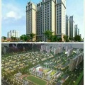 孔雀城尚品国际 建筑规划 