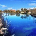 中国昆明蓝光滇池花田国际度假区 景观园林 湿地公园