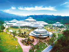 南亞熱帶植物園