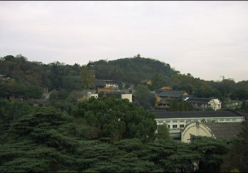 广济寺图片
