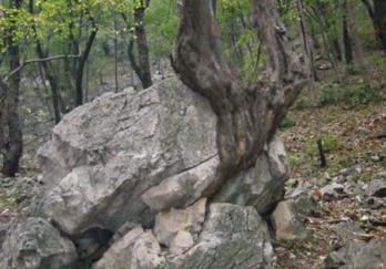 皇藏峪自然保护区图片