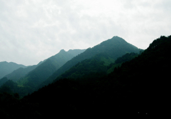万佛山自然保护区图片