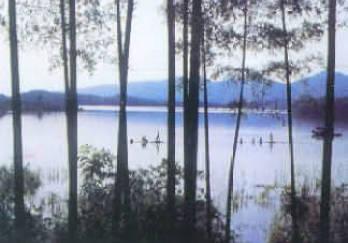 陆水湖图片