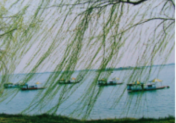 柳叶湖度假区图片