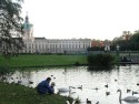 柏林夏洛騰堡宮
