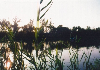 马踏湖风景区图片