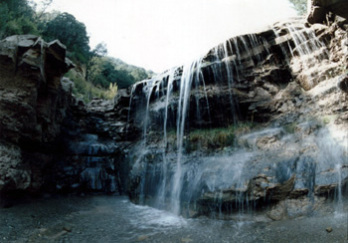 天龙山国家森林公园图片