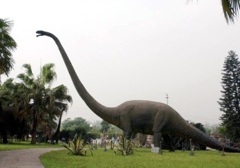 自贡恐龙博物馆图片