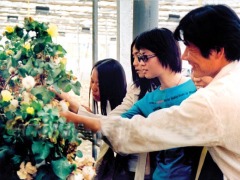 中國彩棉科技園