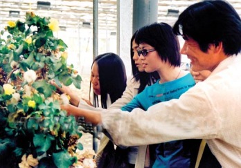 中国彩棉科技园图片