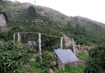 白茶谷九龙峡景区图片
