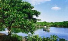 东寨港红树林自然保护区