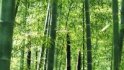 竹洞天风景区