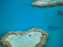 世界海洋遗产 大堡礁Great Barrier Reef 