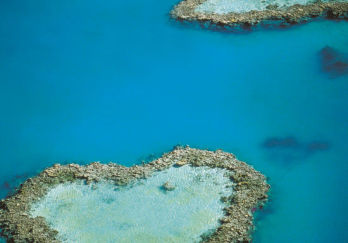 世界海洋遗产 大堡礁Great Barrier Reef 图片