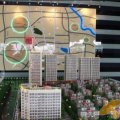 新津国际 建筑规划 新津国际规划图