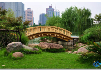 新虹桥中心花园图片