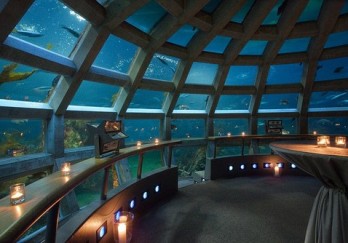 西雅图水族馆（Seattle Aquarium）图片