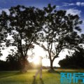 中信台达国际高尔夫社区 景观园林 小区4