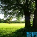 中信台达国际高尔夫社区 景观园林 DPP_60145