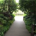 上海Villa 景观园林 img_0399
