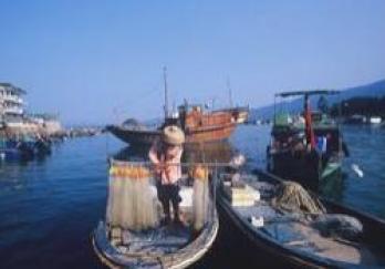 东升渔村图片
