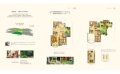 天鹅湖华银天鹅湖国际生态城 中叠中户 复式 197m² 户型图   户型图