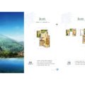 天鹅湖华银天鹅湖国际生态城 叠拼 复式 172m² 户型图 一居  户型图