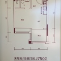 碧桂园珊瑚宫殿稀缺小户型，拎包入住，40万起 一居 33㎡ 户型图