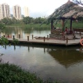 三亚万科湖畔 景观园林 湖景