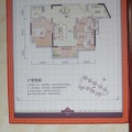 香江国际 两居  户型图