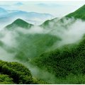 香缇溪岸 景观园林 中国大竹海
