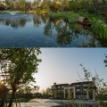 新滨湖孔雀城 景观园林 新中式风格