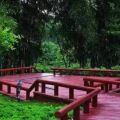 富力南昆山温泉养生谷 景观园林 红木栅栏