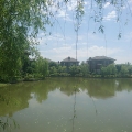 金茂·水中央 景观园林 