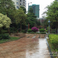 香江国际花园 景观园林 