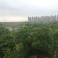 合生杭州湾国际新城 景观园林 