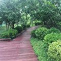 廊坊狮子城·海棠园 景观园林 