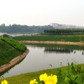 唐河湾 景观园林 湿地公园