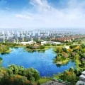 郑州孔雀城 景观园林 